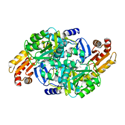 BU of 7nn4 by Molmil