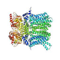 BU of 7np4 by Molmil