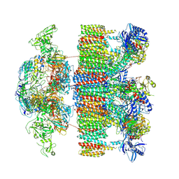 BU of 7np7 by Molmil