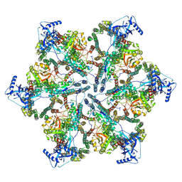 BU of 7npv by Molmil