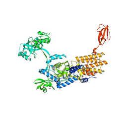 BU of 7nuc by Molmil