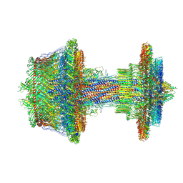 BU of 7nvg by Molmil