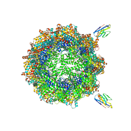 BU of 7nvl by Molmil