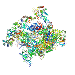 BU of 7nvs by Molmil