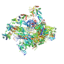 BU of 7nvt by Molmil