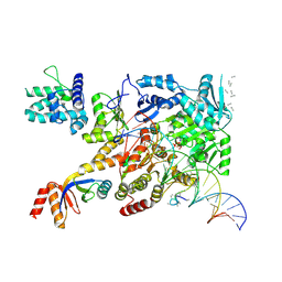 BU of 7nvv by Molmil