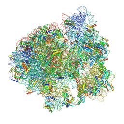 BU of 7nwt by Molmil