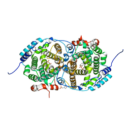 BU of 7oc4 by Molmil