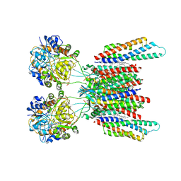 BU of 7ocf by Molmil