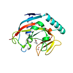 BU of 7ocv by Molmil