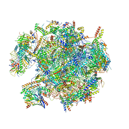 BU of 7ods by Molmil