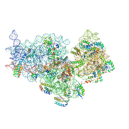 BU of 7oe1 by Molmil