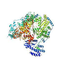 BU of 7oe3 by Molmil