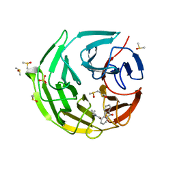 BU of 7ofb by Molmil