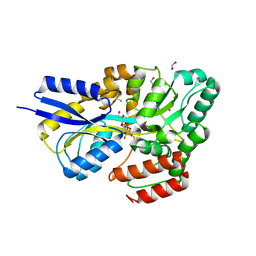 BU of 7ofy by Molmil