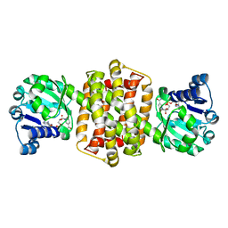 BU of 7og3 by Molmil