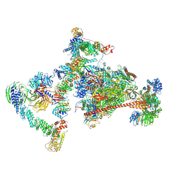 BU of 7opc by Molmil