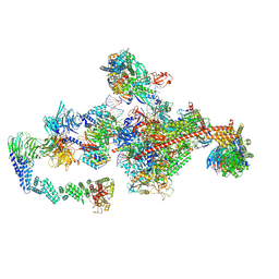 BU of 7opd by Molmil