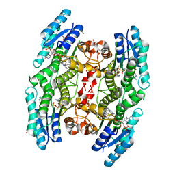 BU of 7opj by Molmil