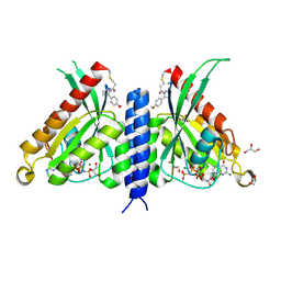 BU of 7opq by Molmil