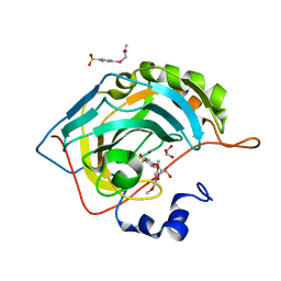 BU of 7orp by Molmil