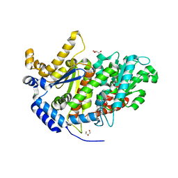 AU of 7oyl by Molmil