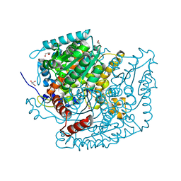 BU of 7oyl by Molmil