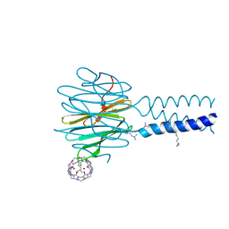 BU of 7p2j by Molmil