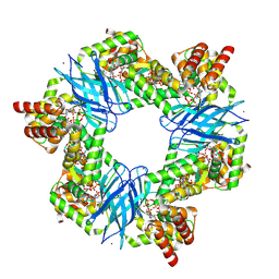 BU of 7p37 by Molmil