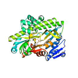 BU of 7p3b by Molmil