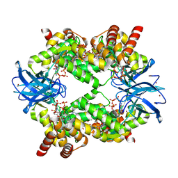 BU of 7p3q by Molmil