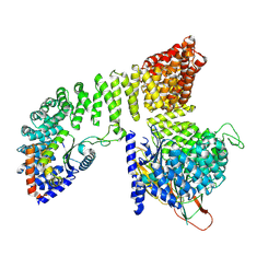 BU of 7p3y by Molmil