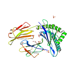 BU of 7p49 by Molmil