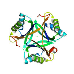 BU of 7p4y by Molmil