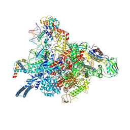 BU of 7p5x by Molmil