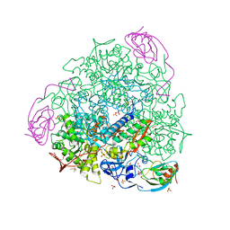 BU of 7p7o by Molmil