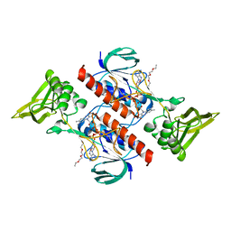 BU of 7p9e by Molmil