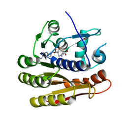 BU of 7p9o by Molmil