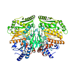 BU of 7pbi by Molmil