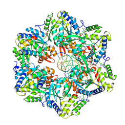 BU of 7pbp by Molmil