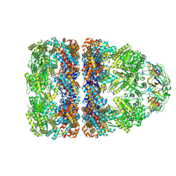 BU of 7pbx by Molmil