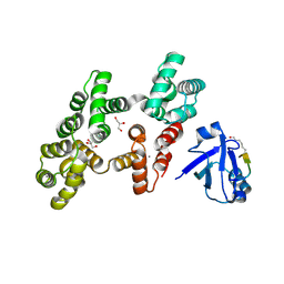 BU of 7pc7 by Molmil