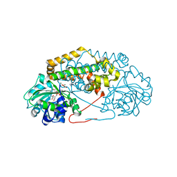 BU of 7pci by Molmil