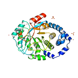 BU of 7pd1 by Molmil