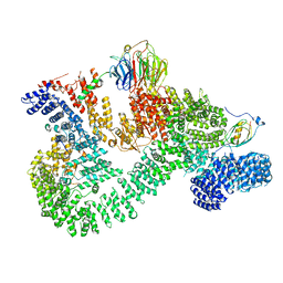 BU of 7pe8 by Molmil