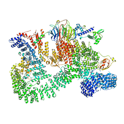 BU of 7pe9 by Molmil