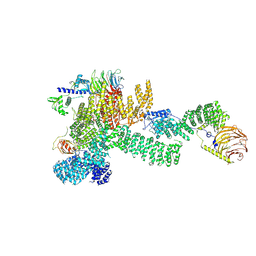 BU of 7pec by Molmil