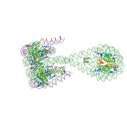 BU of 7pf0 by Molmil