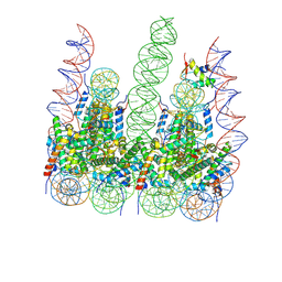 BU of 7pfc by Molmil