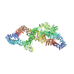 BU of 7pgt by Molmil